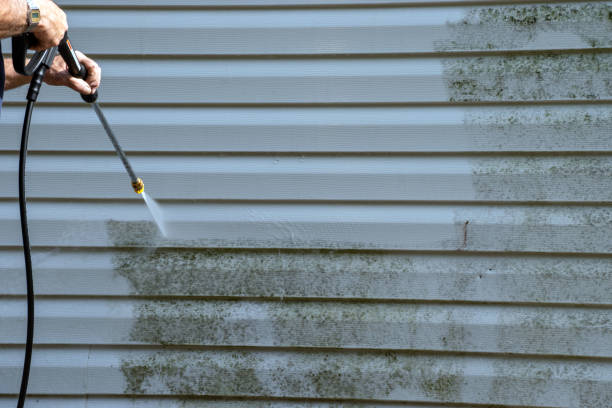 Best Carpet Removal and Disposal  in Greencastle, IN