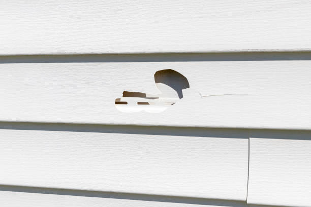 Best Foreclosure Cleanout  in Greencastle, IN