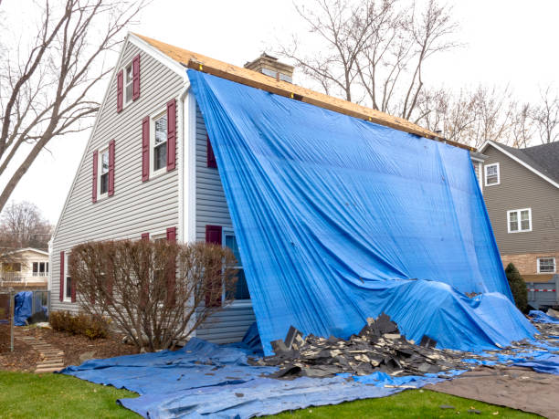 Best Hoarding Cleanup  in Greencastle, IN
