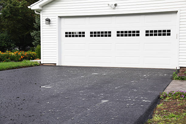 Best Yard Waste Removal  in Greencastle, IN